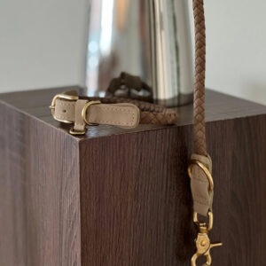 Ryken Braided Dog Leash Kaia | Taupe