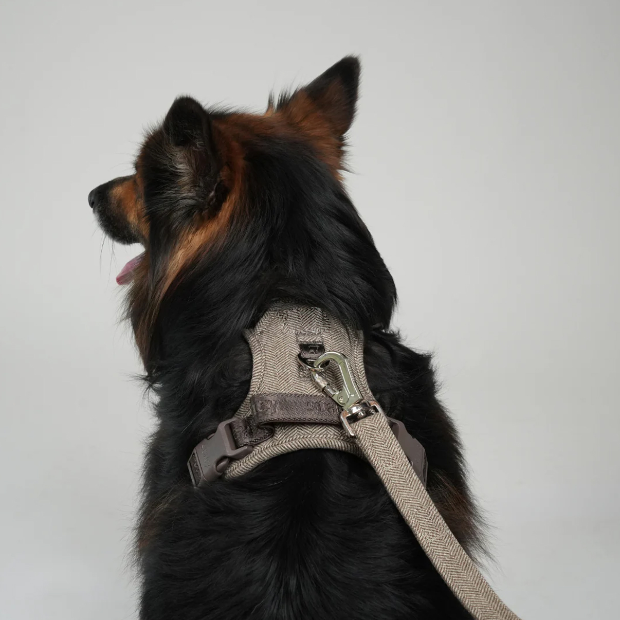 Ryken Dog Leash Elma | Mocca - Image 2