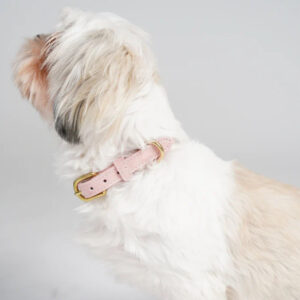 Ryken Leather Dog Collar Grace | Dusty Rose