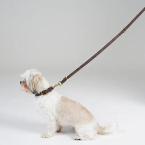 Ryken Leather Dog Leash Grace | Espresso