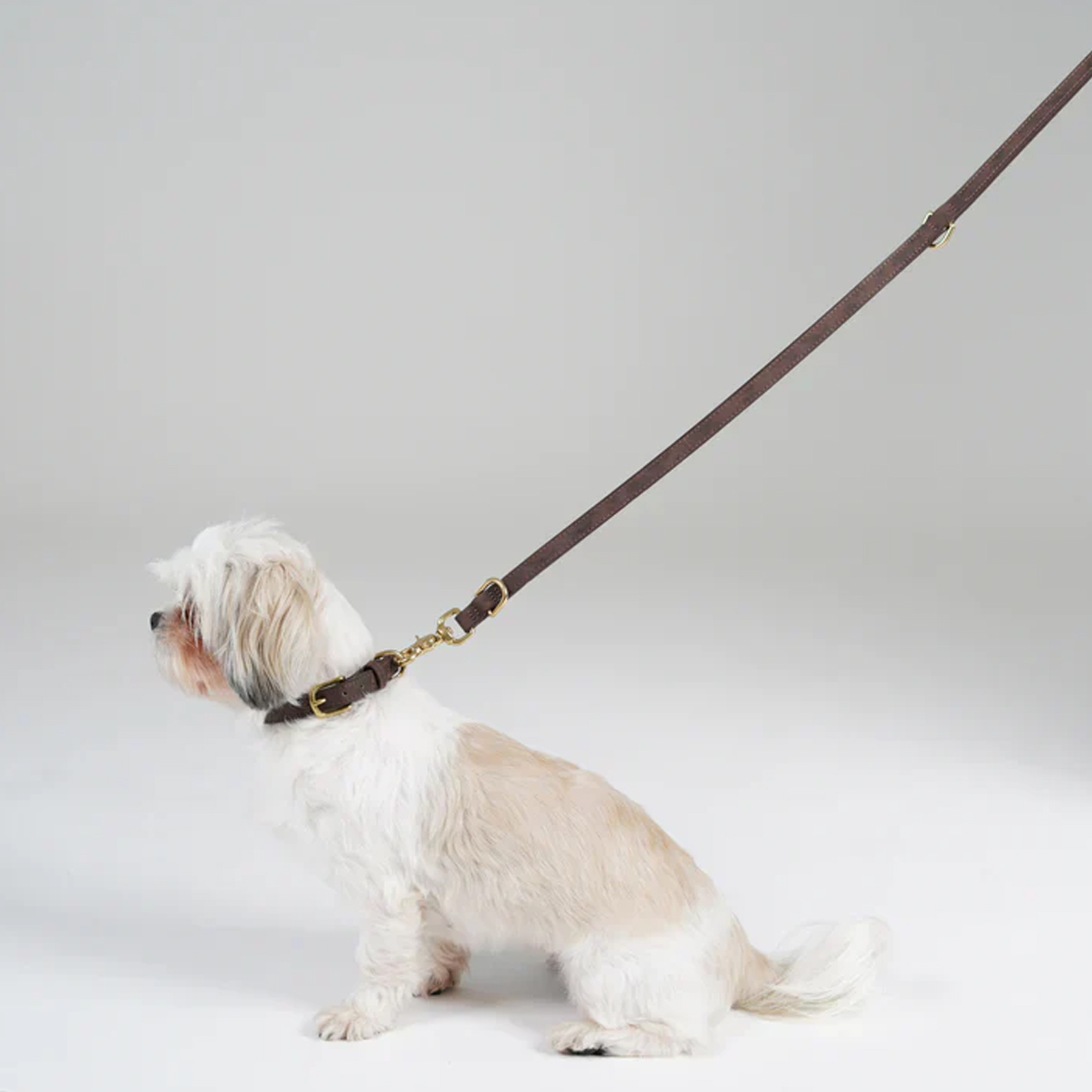 Ryken Leather Dog Leash Grace | Espresso - Image 2