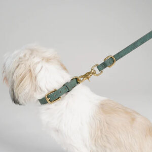 Ryken Leather Dog Leash Grace | Moss Green