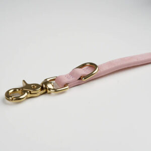 Ryken Leather Dog Leash Grace | Dusty Rose