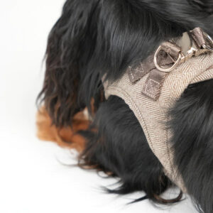Ryken Step-In Dog Harness Saga | Mocca