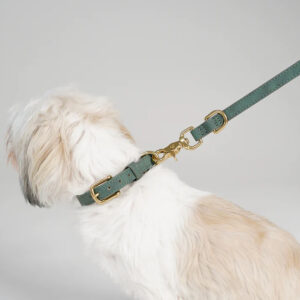 Ryken Leather Dog Collar Grace | Moss Green