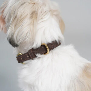 Ryken Leather Dog Collar Grace | Espresso