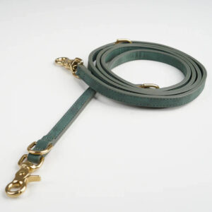 Ryken Leather Dog Leash Grace | Moss Green