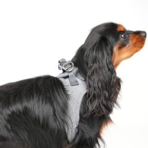 Ryken Step-In Dog Harness | Dusty Blue