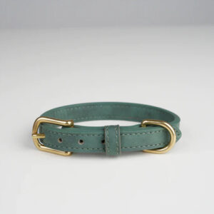 Ryken Leather Dog Collar Grace | Moss Green