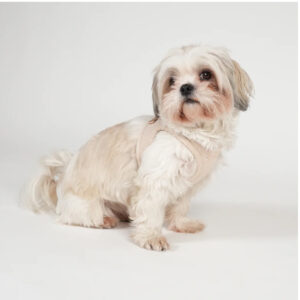 Ryken Step-In Dog Harness | Light Rose