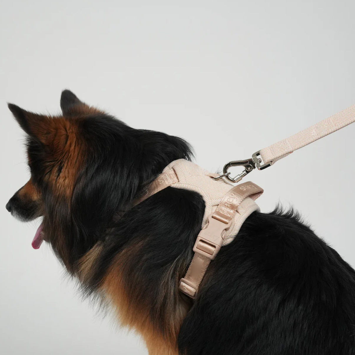 Ryken Dog Leash Elma | Light Rose - Image 4